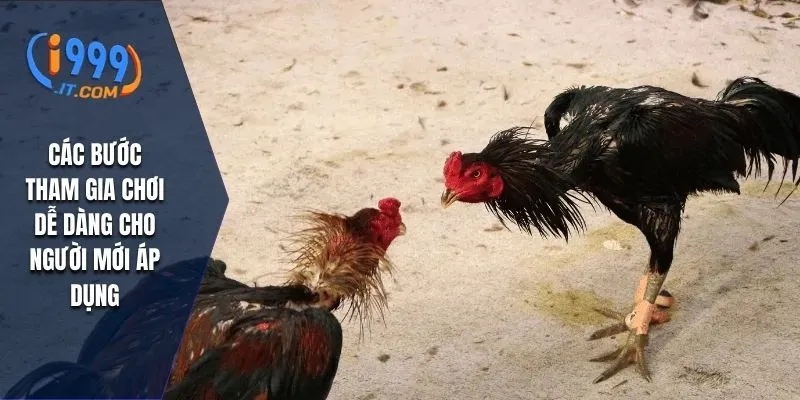 Đá Gà Campuchia i999 Với Trận Đấu Đầy Hấp Dẫn Và Kịch Tính 3 Các bước tham gia chơi dễ dàng cho người mới áp dụng